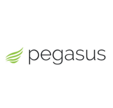 Pegasus with Ferret Accounts Payable Automation Overview